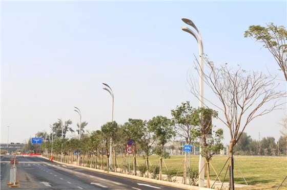 榮膺2019年度國家科技進(jìn)步獎一等獎