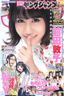 带泪梨花电视剧全集