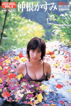 血色玫瑰金陵女神
