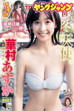少年包青天第二部