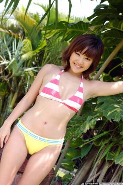 真情玫瑰
