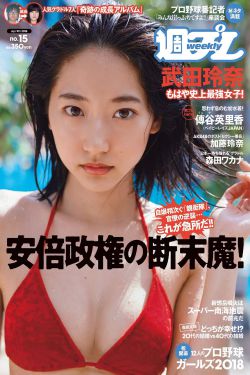 大秦帝国之纵横电视剧