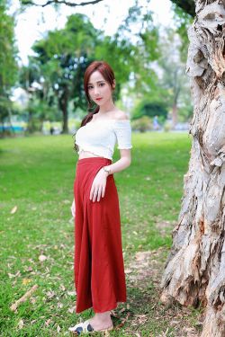 白莲花 电视剧