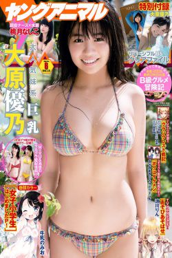 复婚进行时