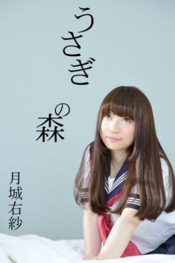 雪域雄鹰 电视剧